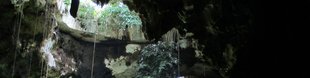 Grutas de Calcehtok, Yucatán. Foto de Julien Machault, 2013. 