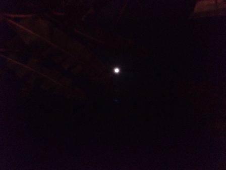 Los sonidos de la noche Noche en Nacajuca