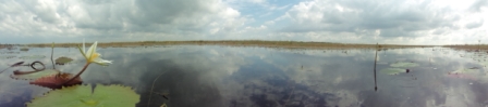 laguna